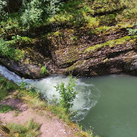 Vila Zapis - Zavojsko Jezero Pirot Exteriér fotografie