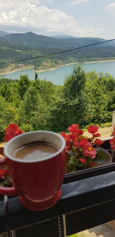 Vila Zapis - Zavojsko Jezero Pirot Exteriér fotografie