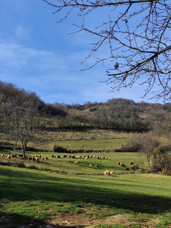 Vila Zapis - Zavojsko Jezero Pirot Exteriér fotografie