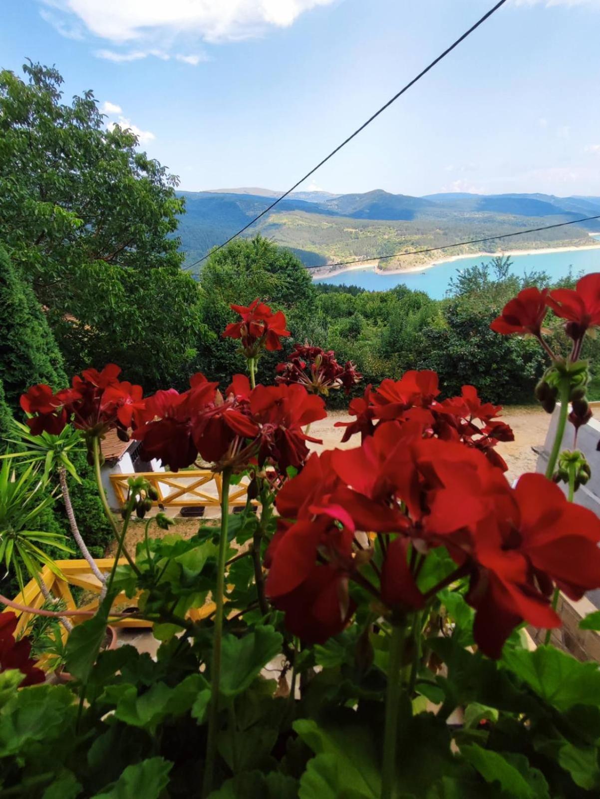 Vila Zapis - Zavojsko Jezero Pirot Exteriér fotografie